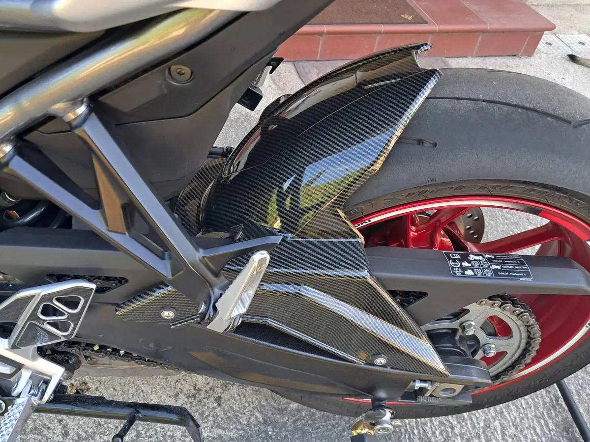 Suzuki GSX-8R (2024 - 26) (8)