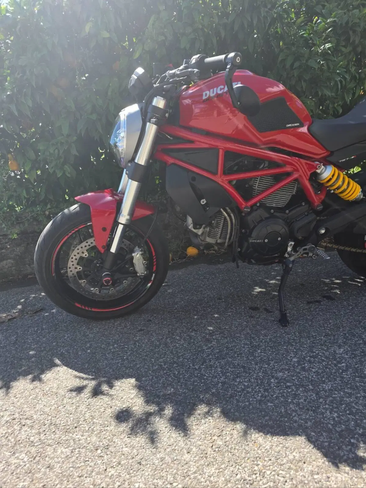 Ducati Monster 797 (2017 - 18)