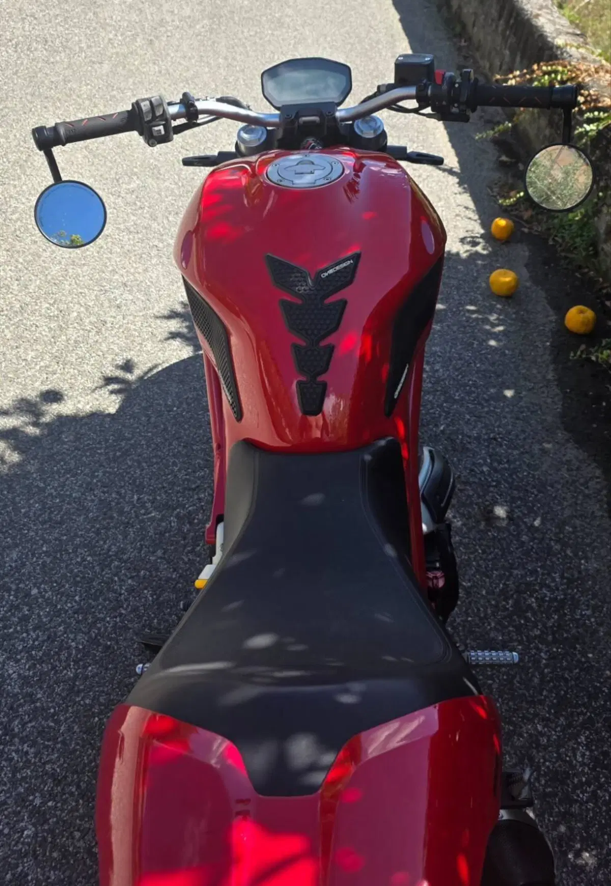 Ducati Monster 797 (2017 - 18) (5)