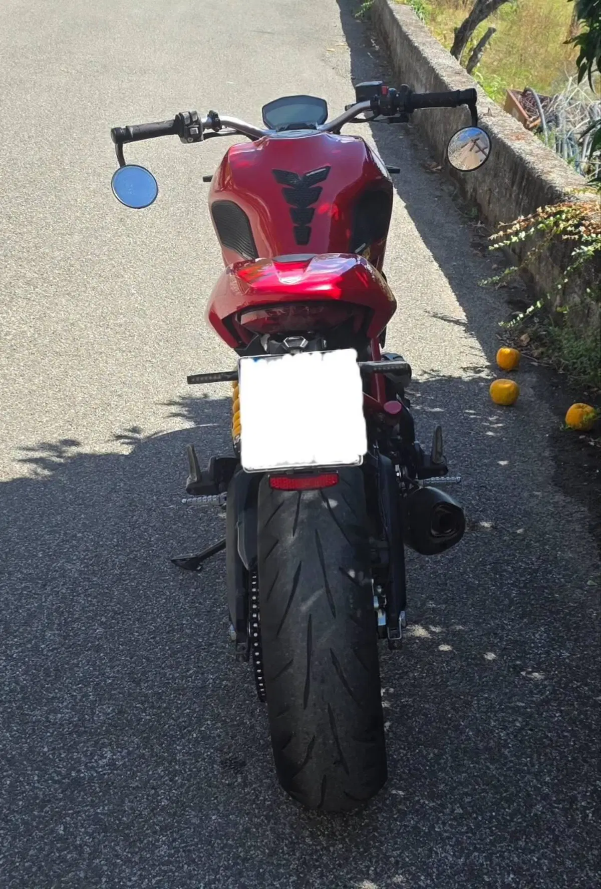 Ducati Monster 797 (2017 - 18) (6)