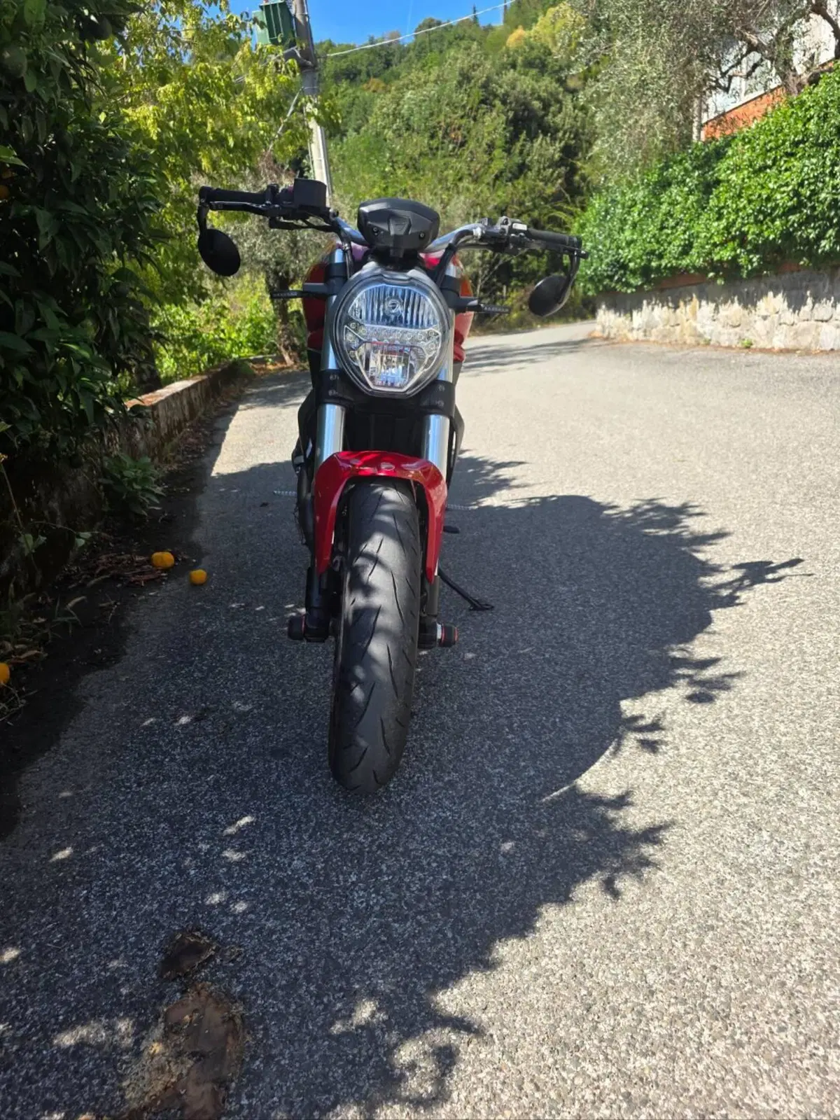 Ducati Monster 797 (2017 - 18) (7)