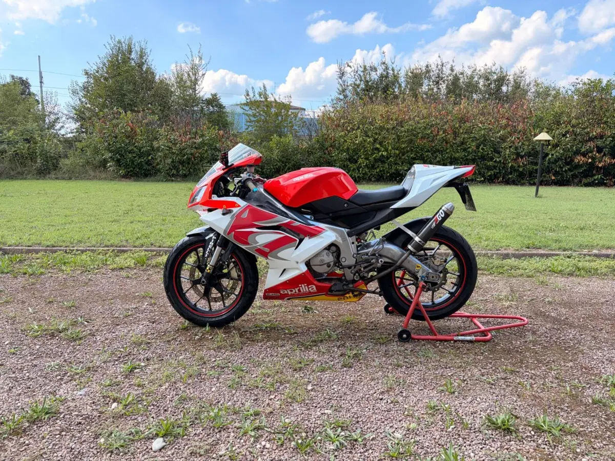 Aprilia RS 125 (2006 - 14) (3)