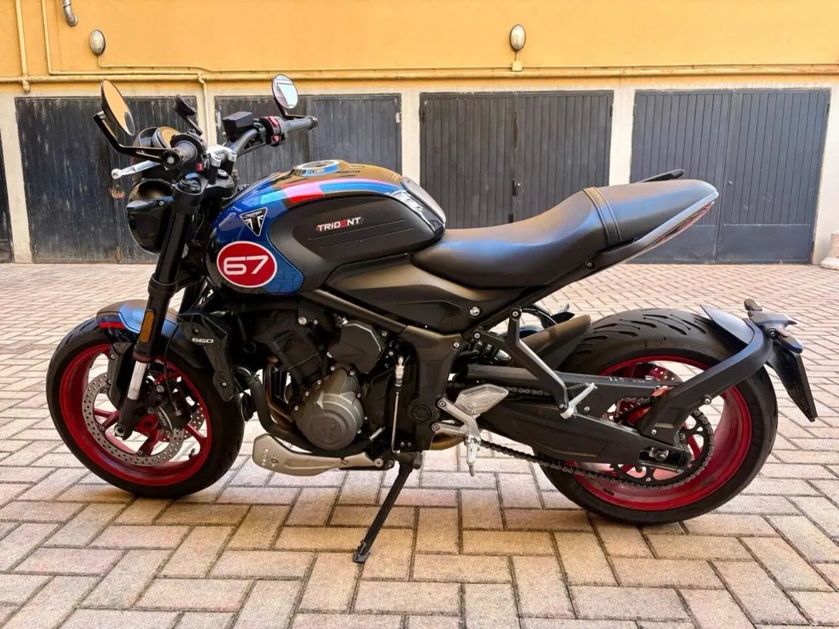 Triumph Trident 660 Triple Tribute Edition (2025 - 26) (2)