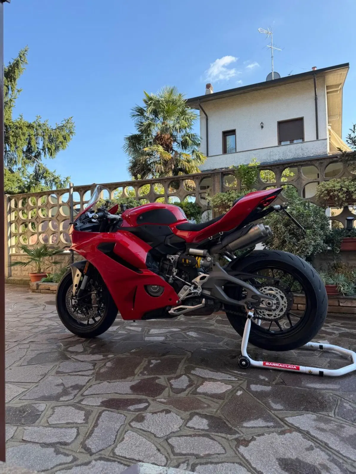 Ducati Panigale V2 (2025 - 26) (4)