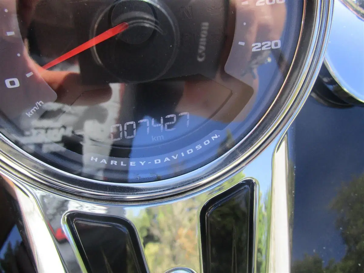Harley-Davidson Fat Boy 117 (2025 - 26) (8)