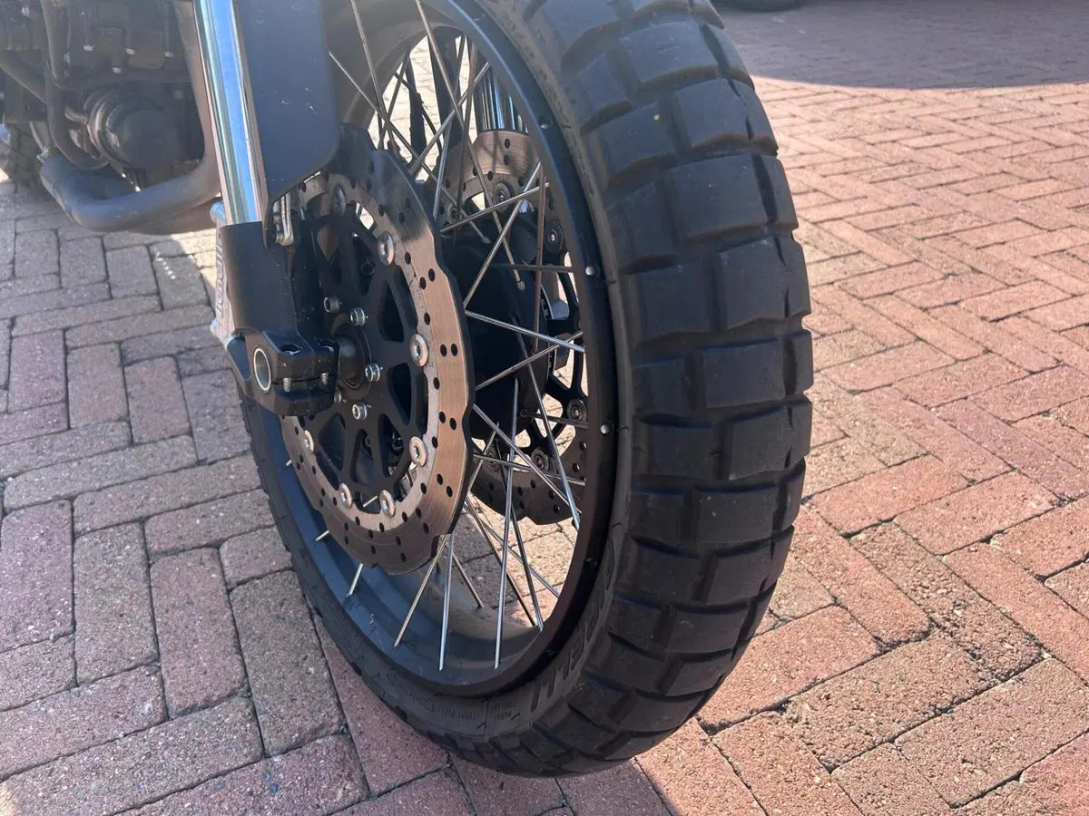 Benelli Leoncino 800 Trail (2022 - 26) (5)