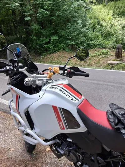Ducati DesertX (2022 - 25) usata