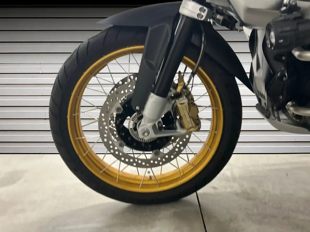 Bmw R 1250 GS Adventure (2019 - 20) (14)