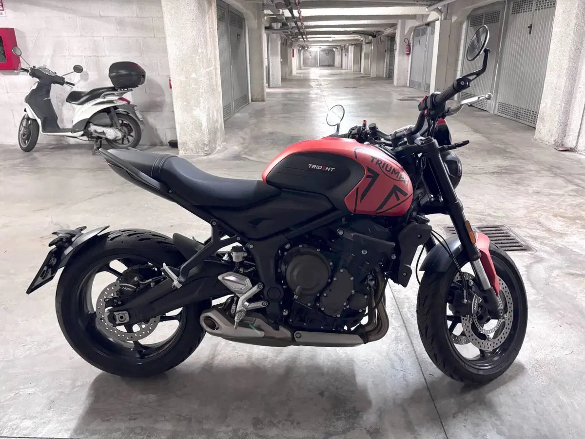 Triumph Trident 660 (2021 - 24) (4)