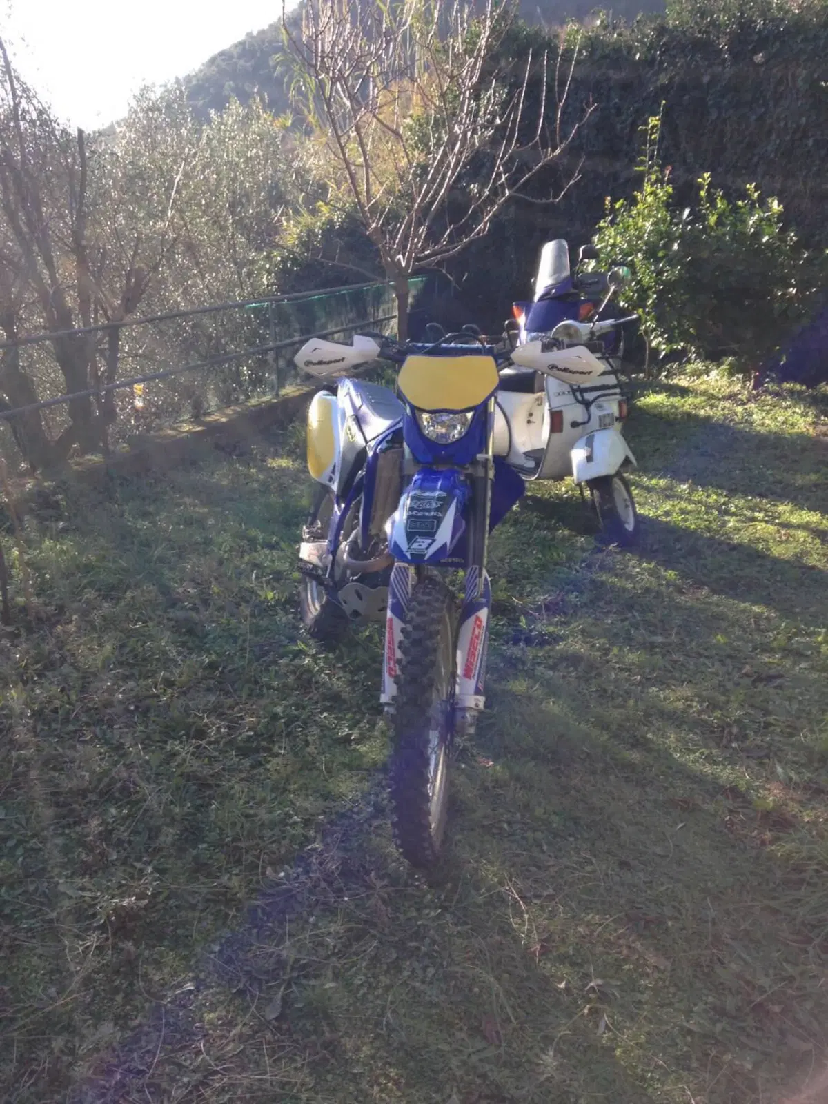 Yamaha WR 250 F (2006) (2)