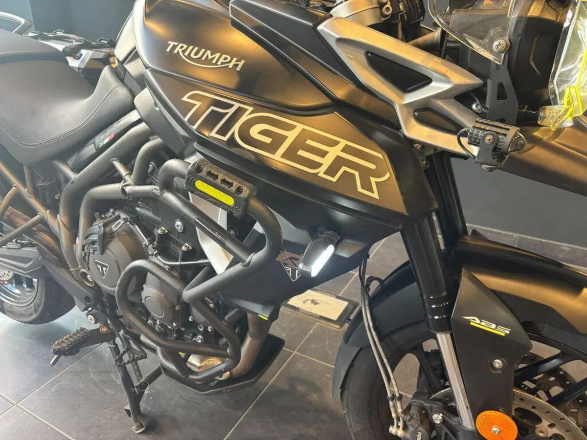 Triumph Tiger 800 XRx (2018 - 20) (9)