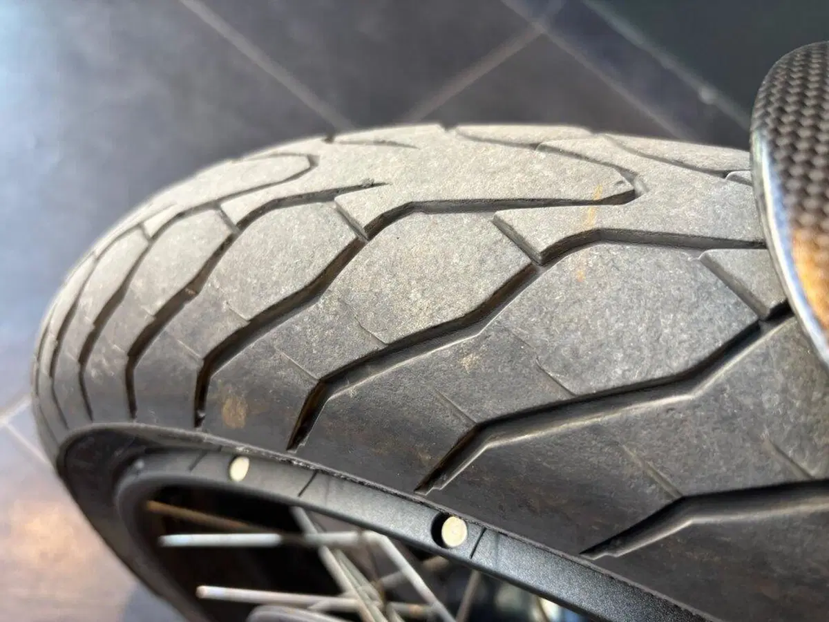 Ducati Multistrada V4 Rally (2023 - 25) (14)
