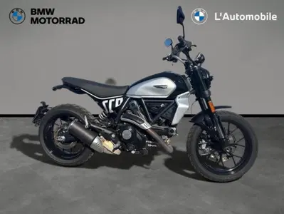 Ducati Scrambler 800 Icon (2023 - 24) usata