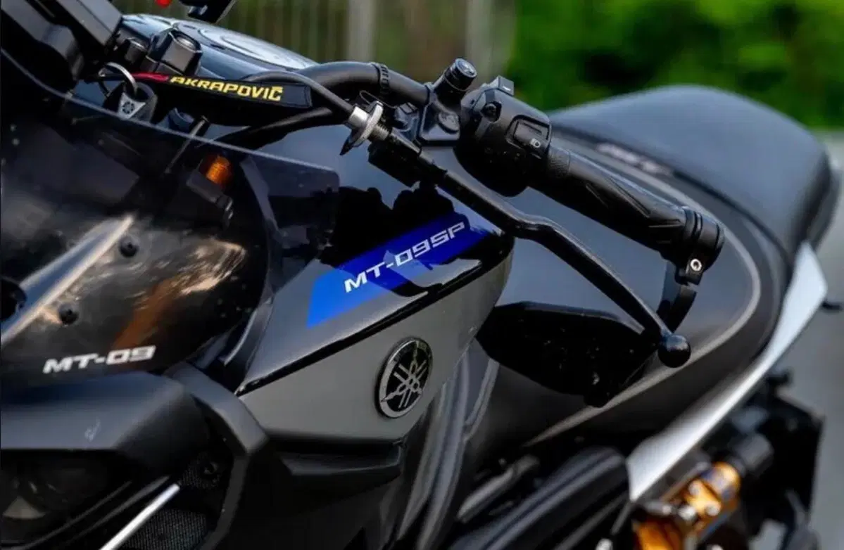 Yamaha MT-09 SP (2018 - 20) (2)