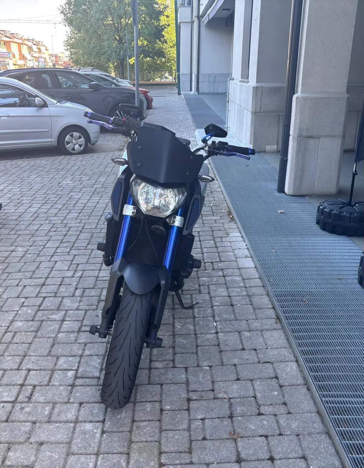 Yamaha MT-09 (2013 - 15) (3)