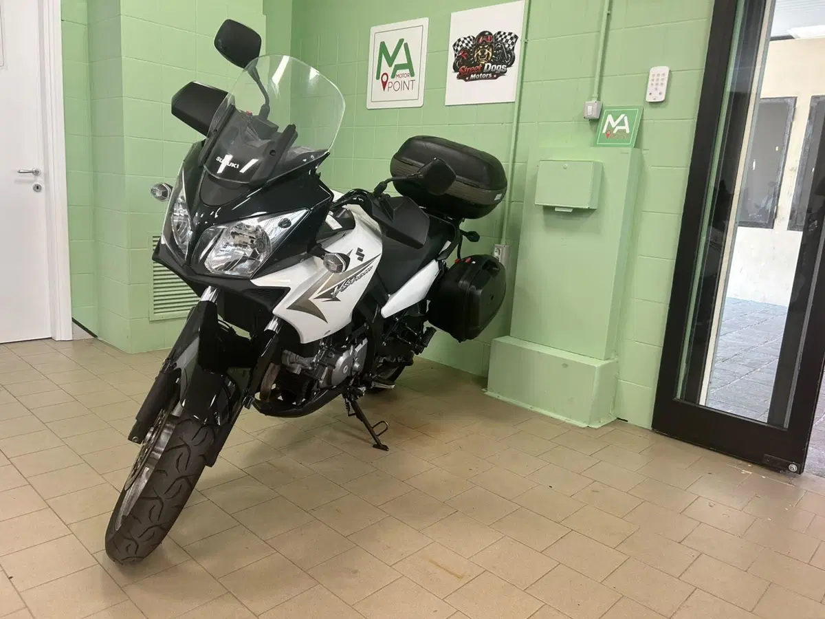 Suzuki V-Strom 650 (2008 - 11) (15)