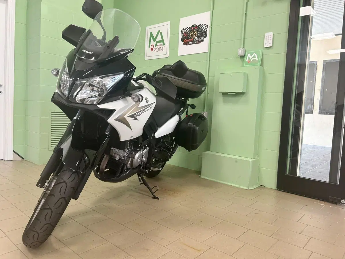 Suzuki V-Strom 650 (2008 - 11) (17)