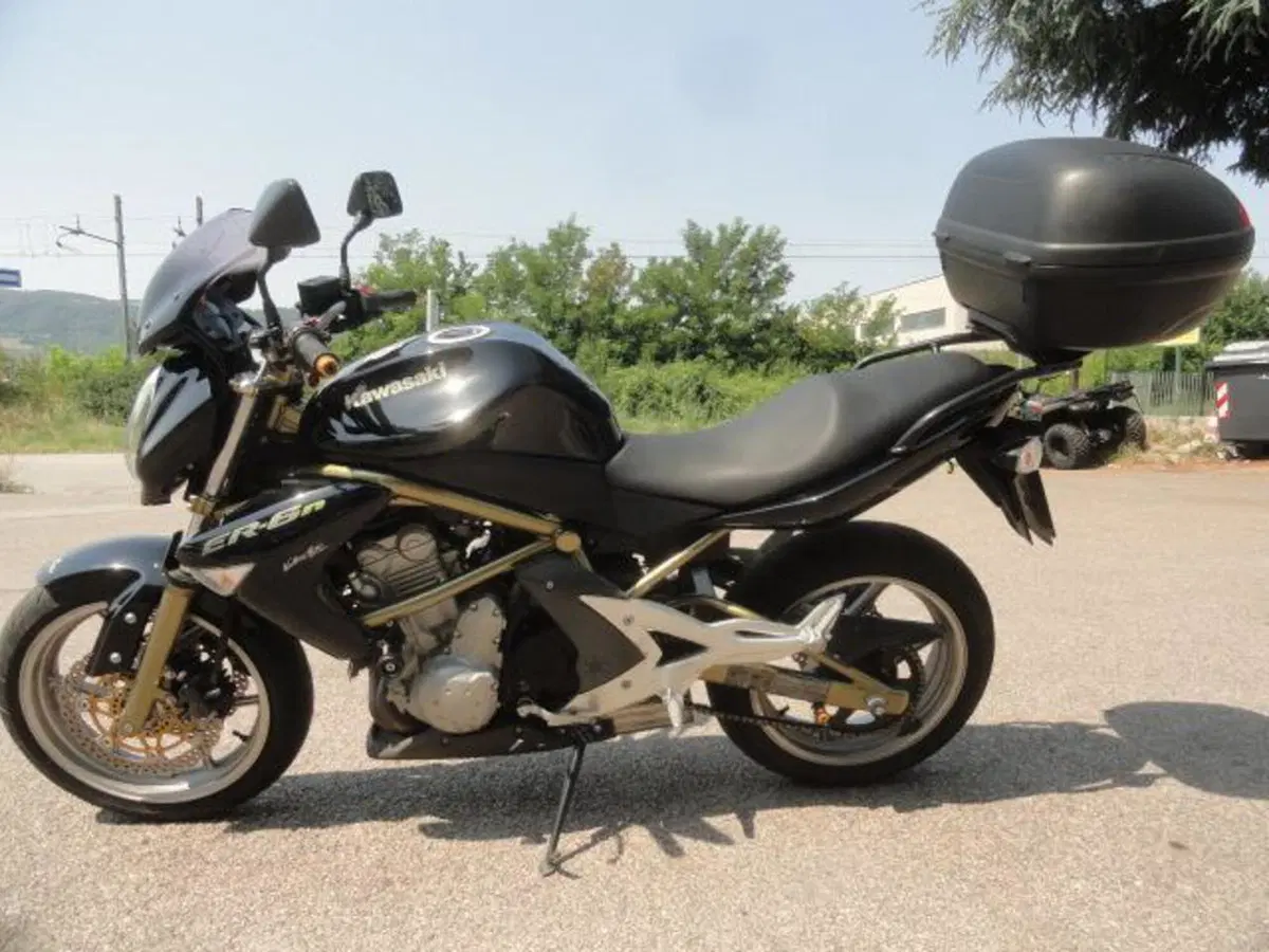 Kawasaki ER-6N (2006 - 09) (5)