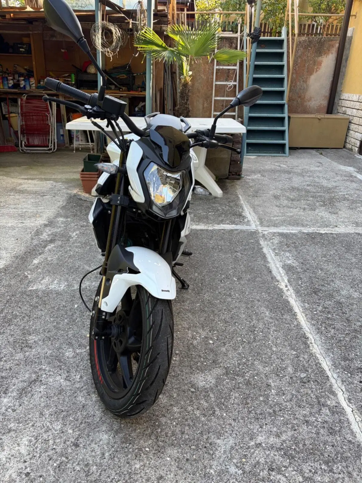 Benelli BN 125 (2021 - 25) (2)