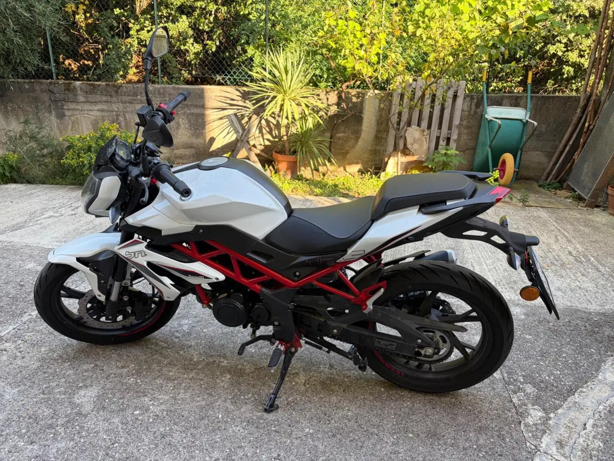 Benelli BN 125 (2021 - 25) (3)