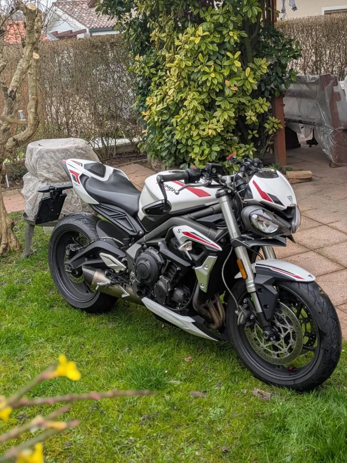 Triumph Street Triple S (2020 - 23) (3)
