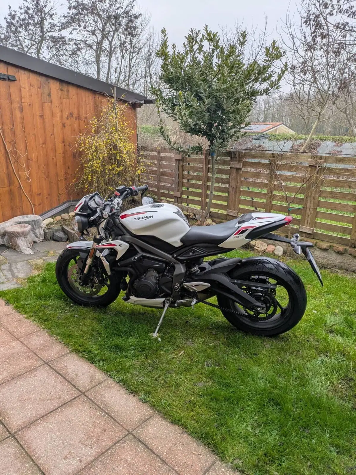 Triumph Street Triple S (2020 - 23) (4)