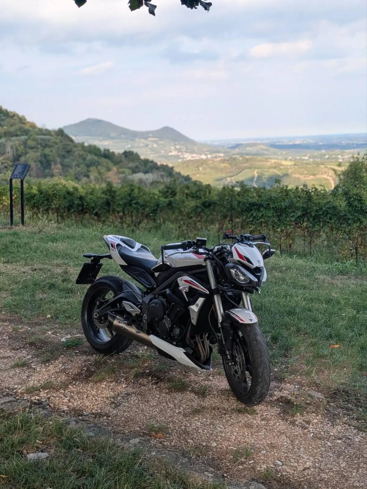 Triumph Street Triple S (2020 - 23) (6)