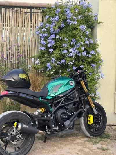 Benelli Leoncino 800 (2022 - 26) usata