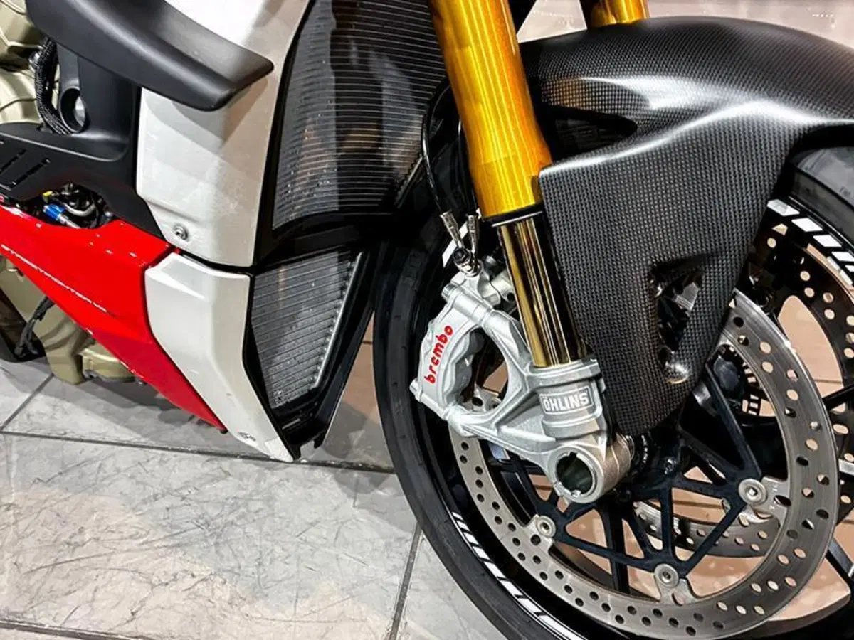 Ducati Streetfighter V4 1100 (2020) (9)