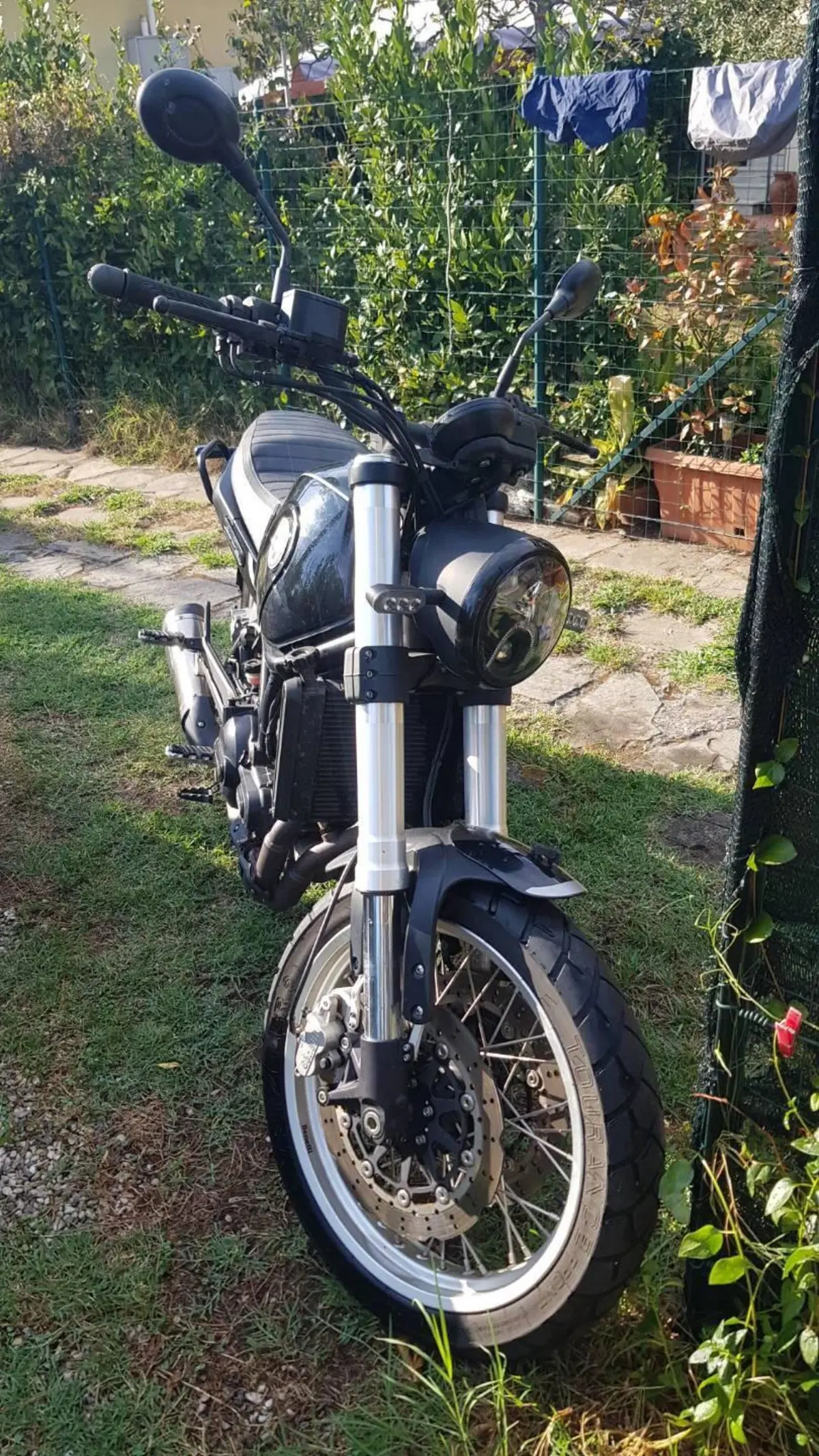 Benelli Leoncino 500 Trail (2021 - 26) (2)