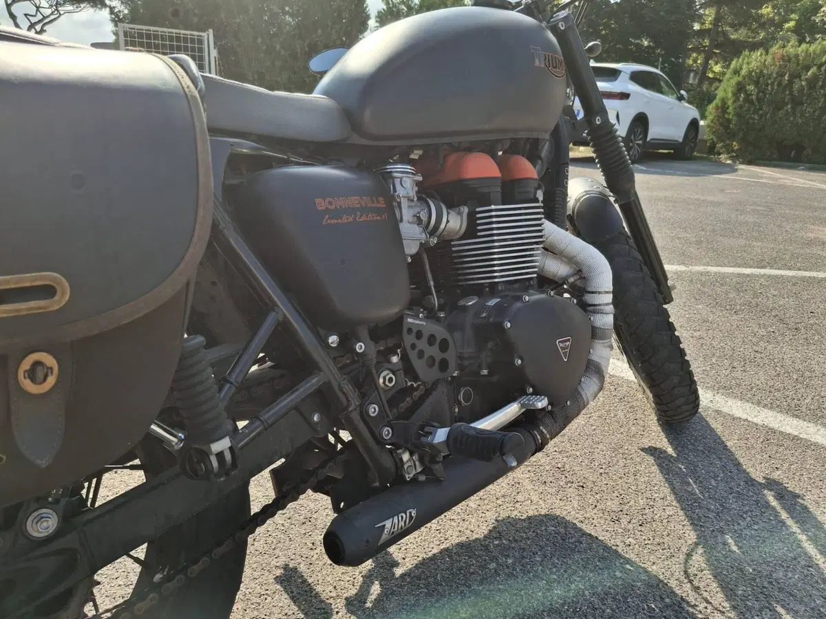 Triumph Bonneville T100 SE (2014) (4)
