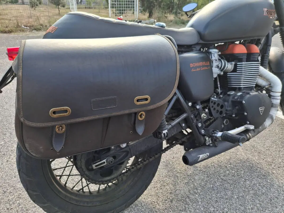 Triumph Bonneville T100 SE (2014) (5)