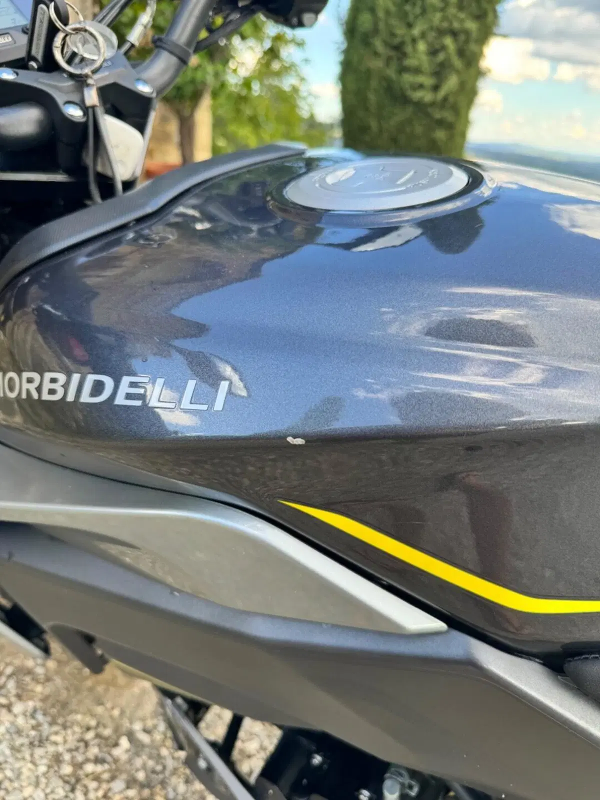 Morbidelli F125 (2025 - 26) (7)