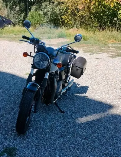 Triumph Bonneville T100 (2021 - 25) usata
