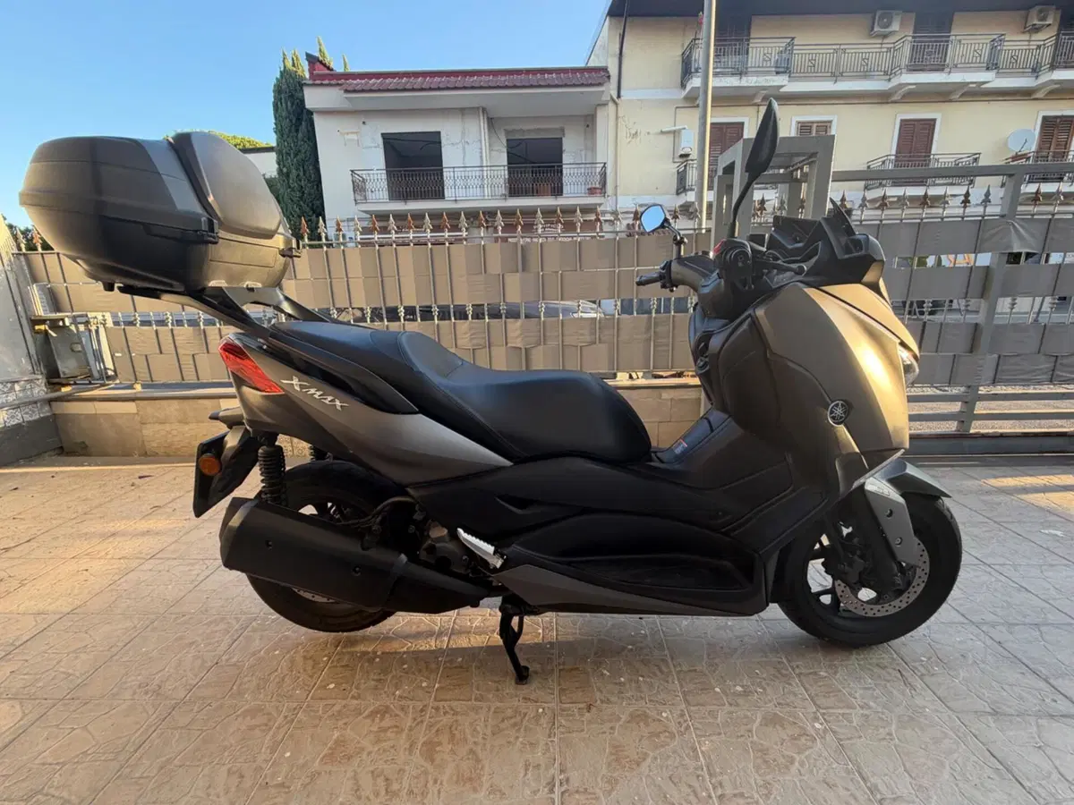 Yamaha X-Max 300 ABS (2017 - 20) (7)