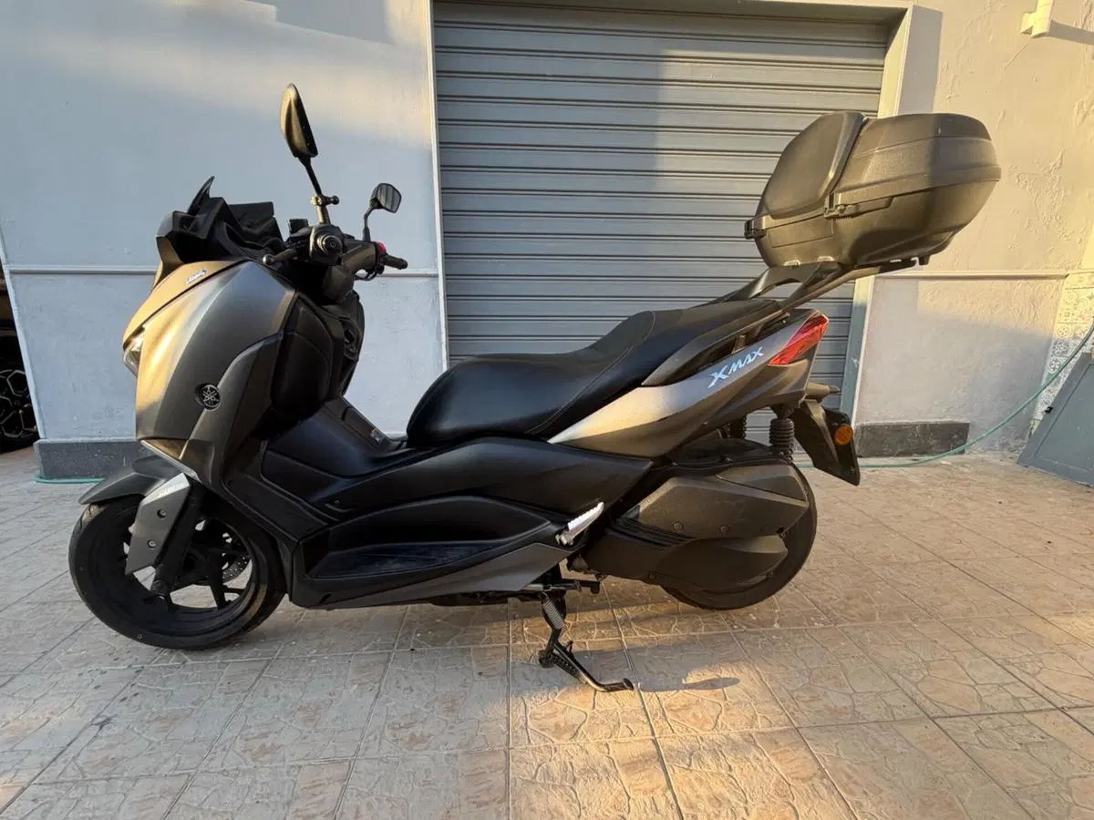 Yamaha X-Max 300 ABS (2017 - 20) (8)
