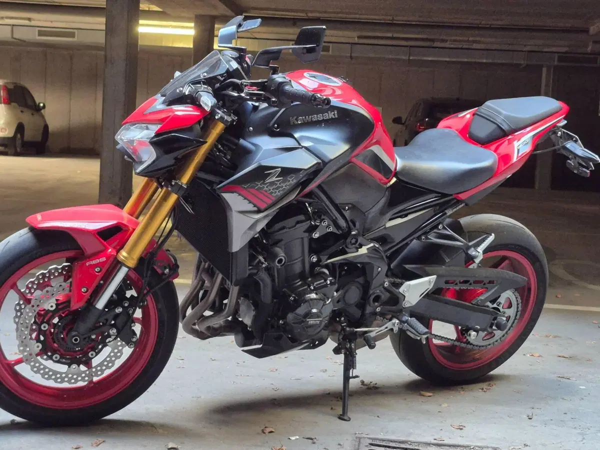 Kawasaki Z 900 A2 (2021 - 24) (2)