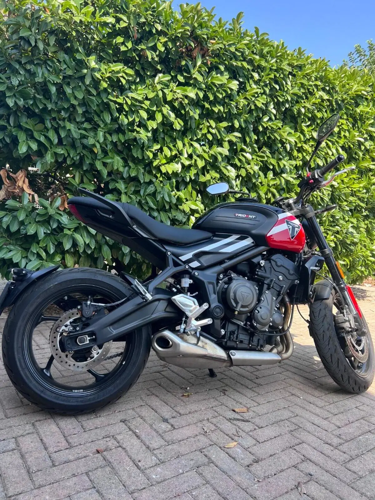 Triumph Trident 660 (2025) (3)