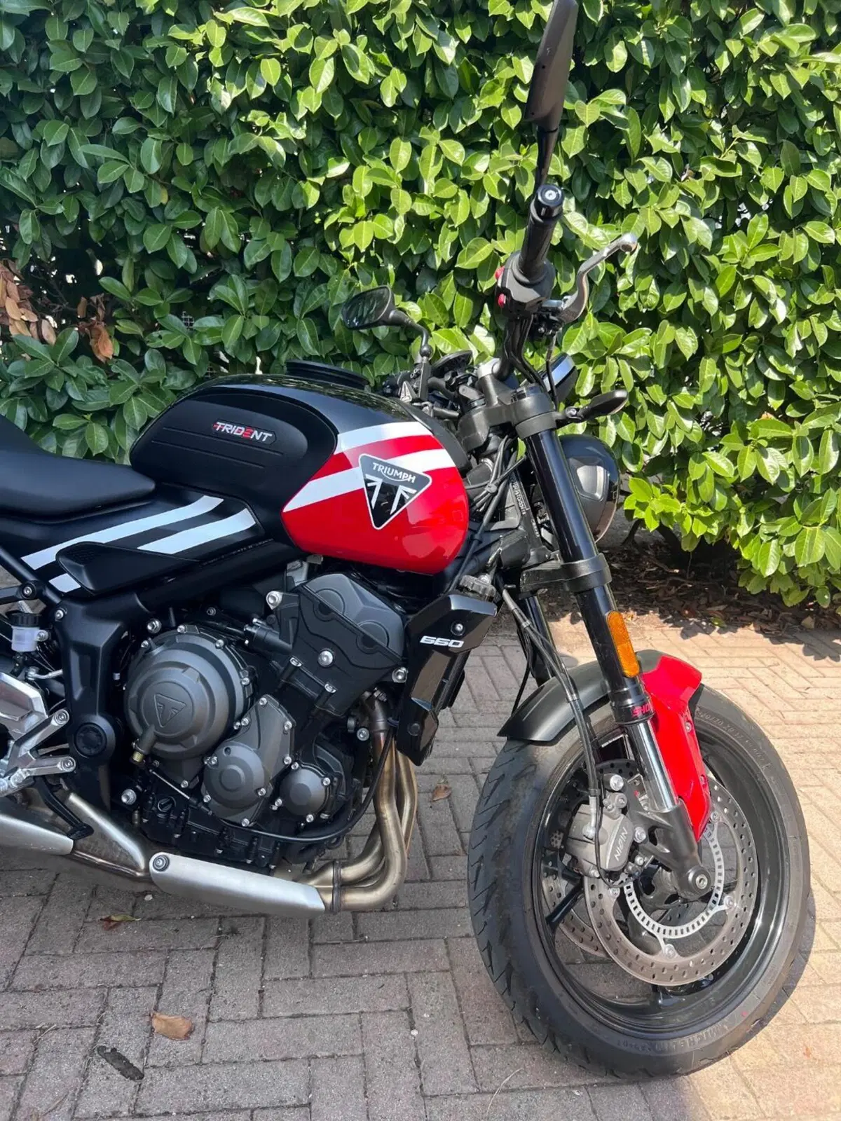 Triumph Trident 660 (2025) (4)