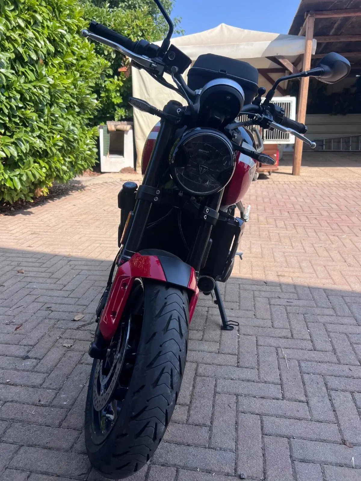 Triumph Trident 660 (2025) (8)