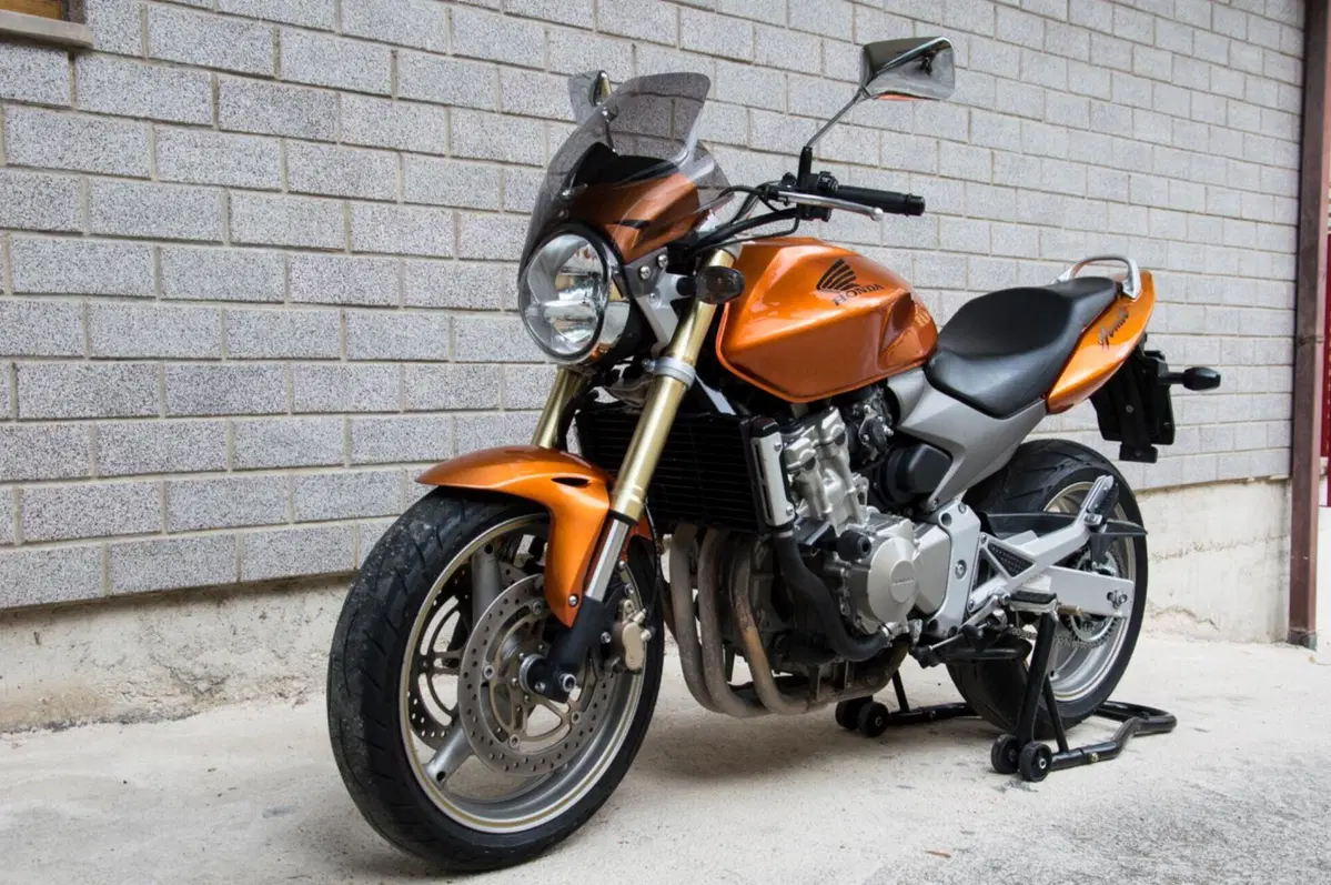 Honda Hornet 600 (2005 - 06)