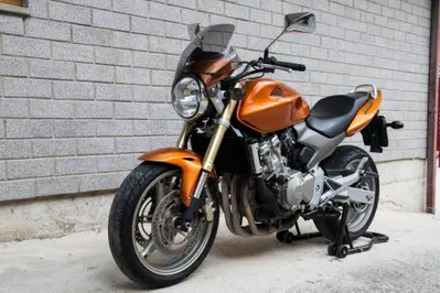 Honda Hornet 600 (2005 - 06) usata