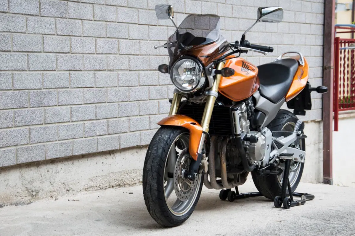 Honda Hornet 600 (2005 - 06) (3)
