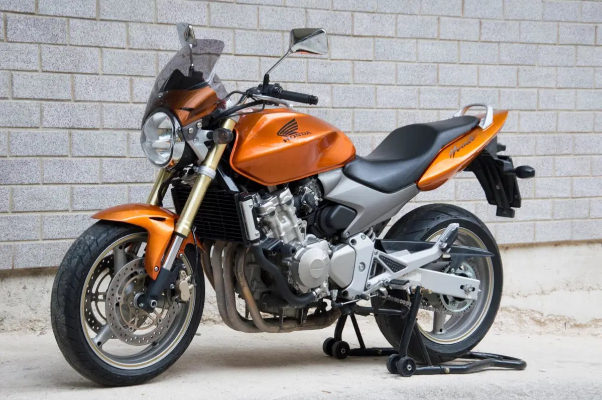 Honda Hornet 600 (2005 - 06) (4)