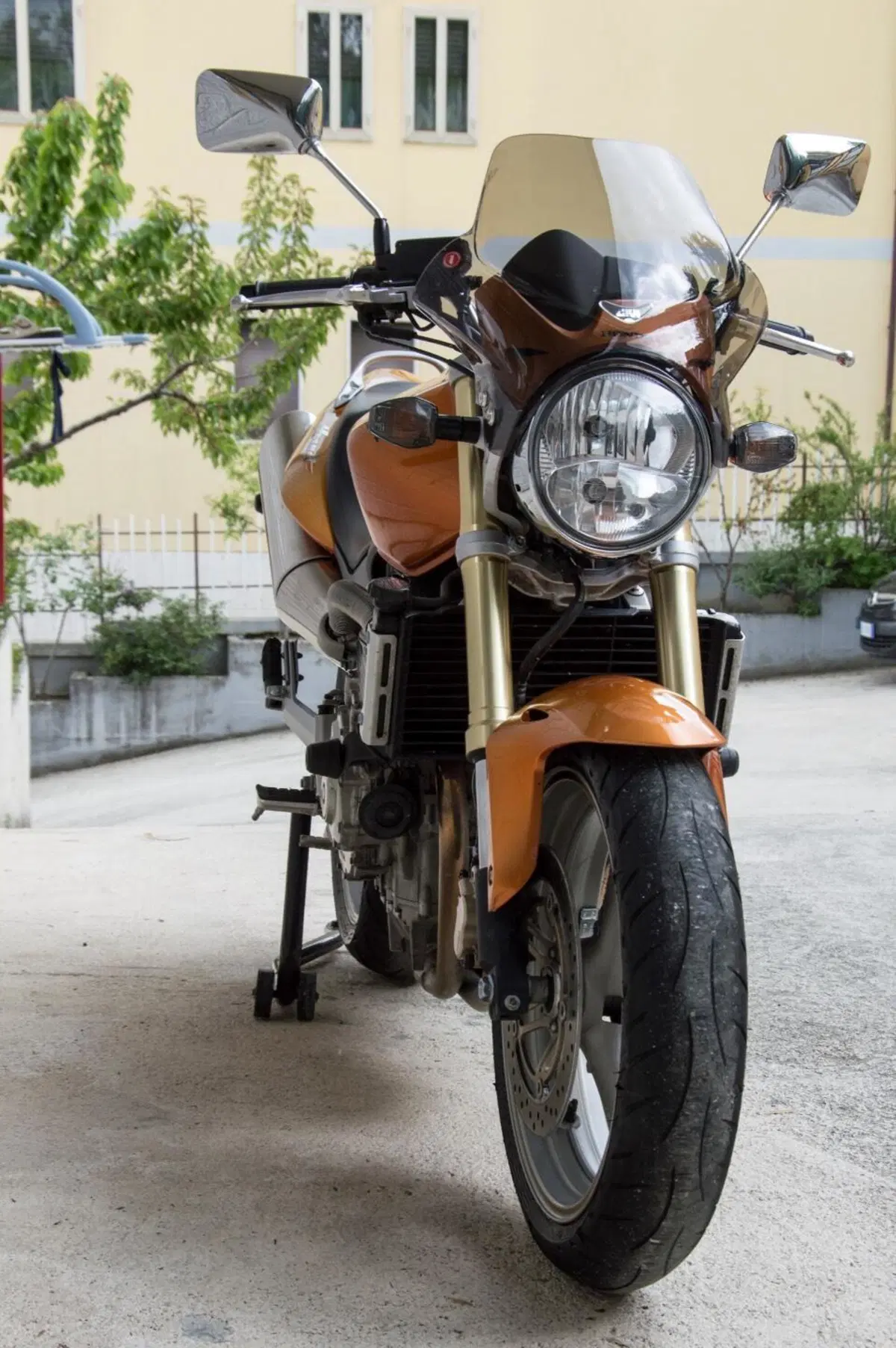 Honda Hornet 600 (2005 - 06) (5)