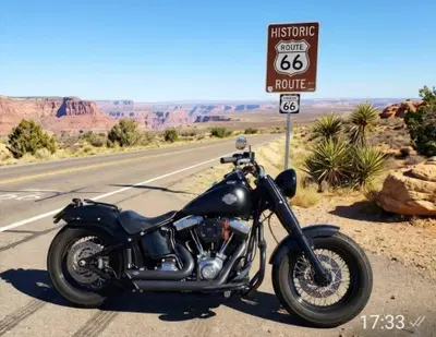 Harley-Davidson 1690 Slim (2011 - 16) - FLS usata