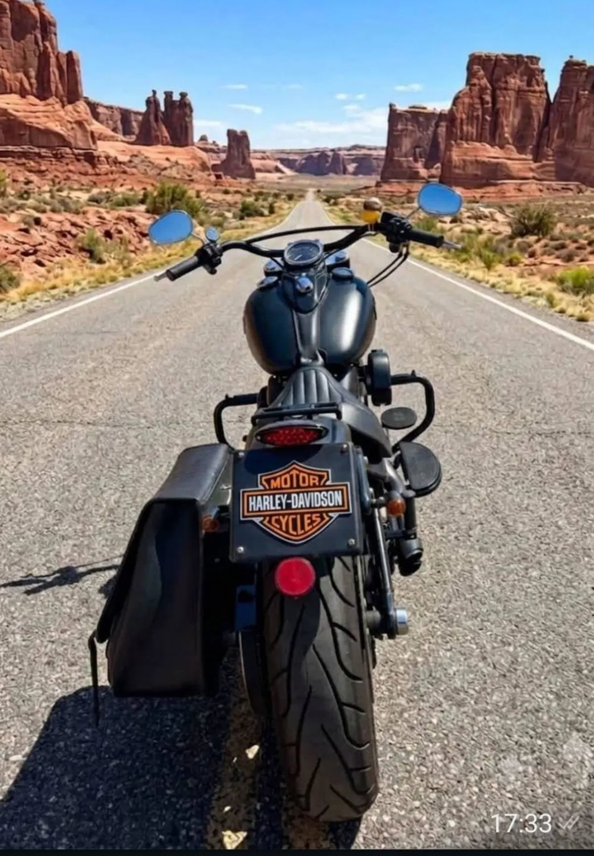 Harley-Davidson 1690 Slim (2011 - 16) - FLS (3)