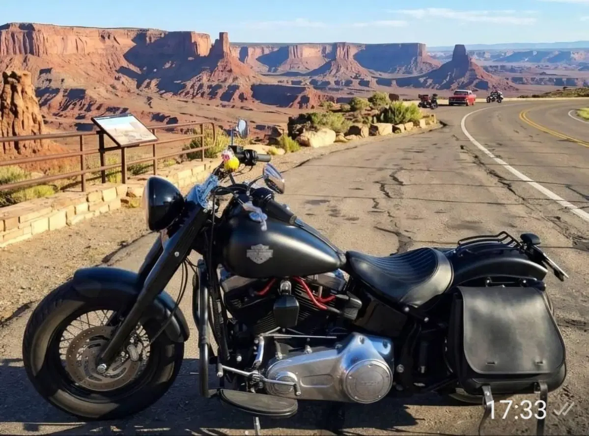 Harley-Davidson 1690 Slim (2011 - 16) - FLS (5)