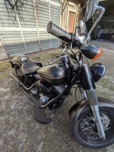Harley-Davidson 1690 Slim (2011 - 16) - FLS usata