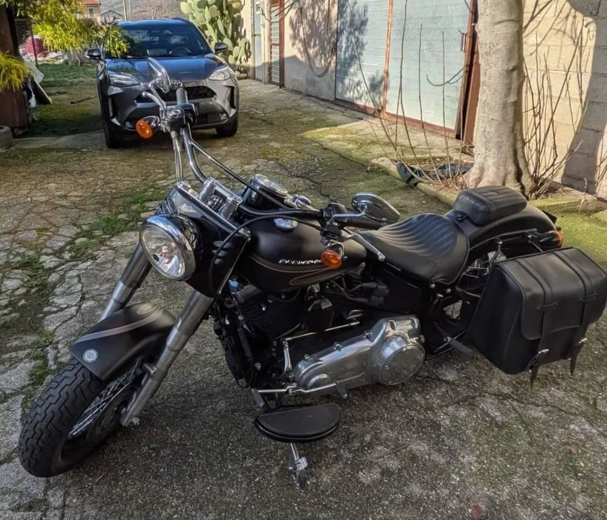 Harley-Davidson 1690 Slim (2011 - 16) - FLS (3)